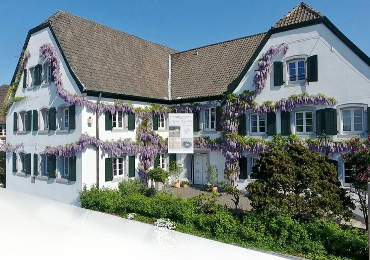 Rhein River Guesthouse - Direkt Am Rhein Λεβερκούζεν Εξωτερικό φωτογραφία