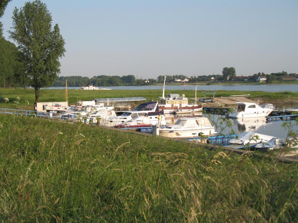 Rhein River Guesthouse - Direkt Am Rhein Λεβερκούζεν Εξωτερικό φωτογραφία