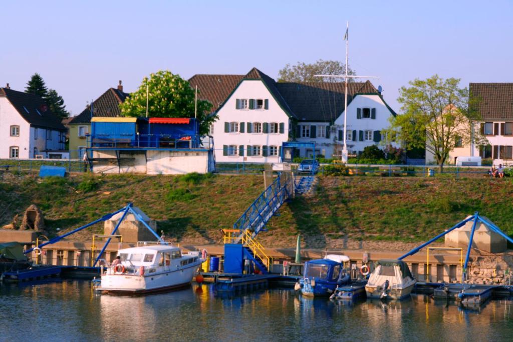 Rhein River Guesthouse - Direkt Am Rhein Λεβερκούζεν Εξωτερικό φωτογραφία