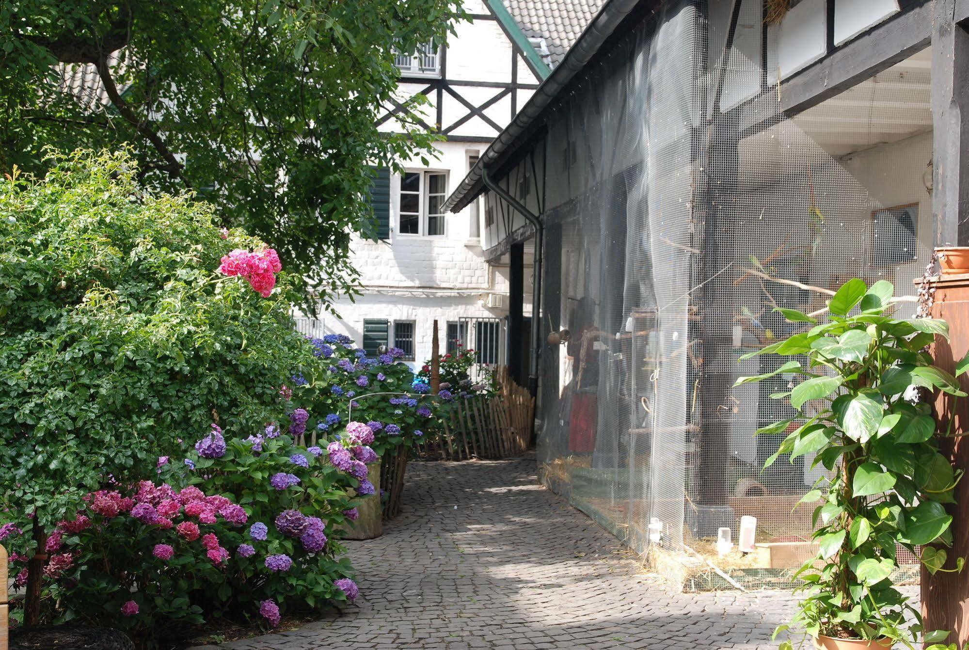 Rhein River Guesthouse - Direkt Am Rhein Λεβερκούζεν Εξωτερικό φωτογραφία