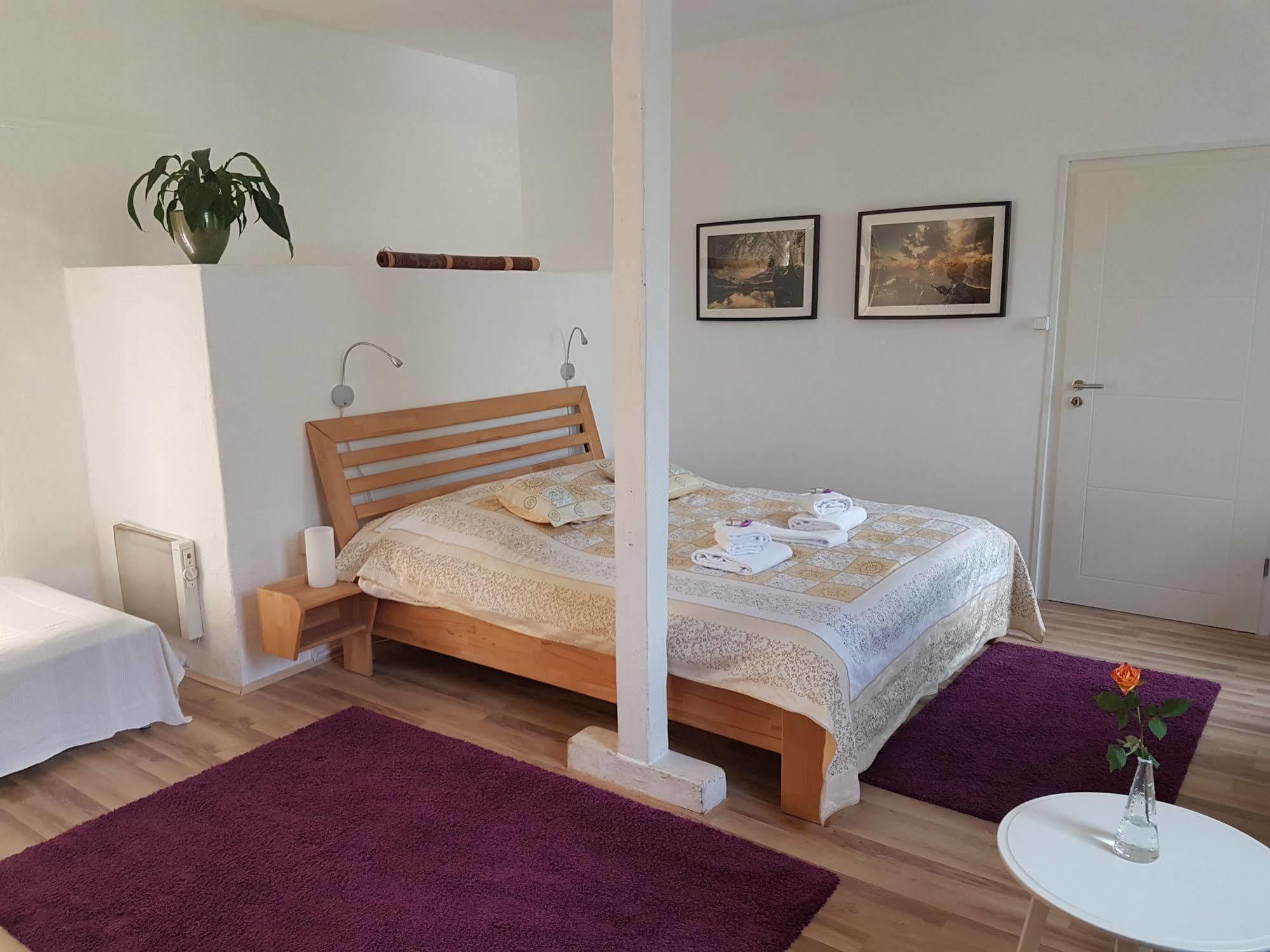 Rhein River Guesthouse - Direkt Am Rhein Λεβερκούζεν Εξωτερικό φωτογραφία